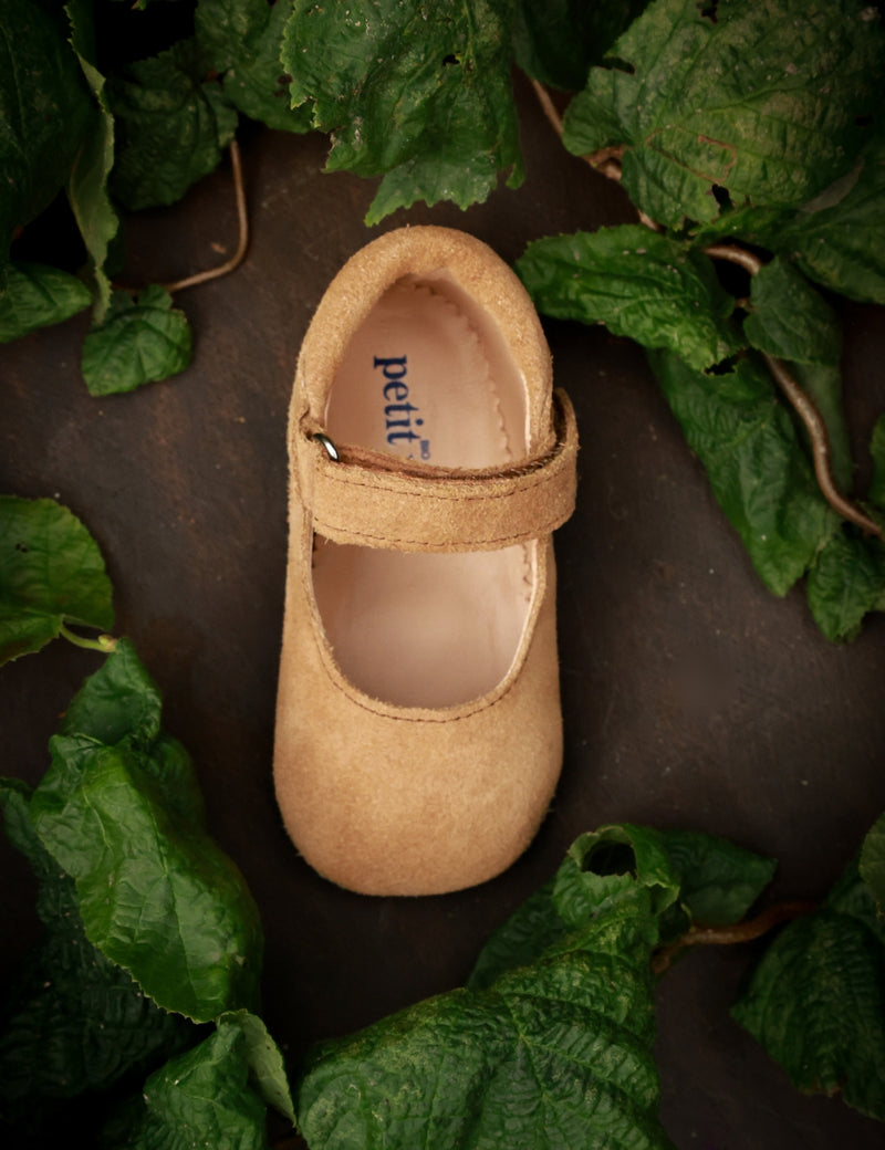 Petit Nord Ballerina Shoe with Velcro Indoor Shoes Sahara Suede 122