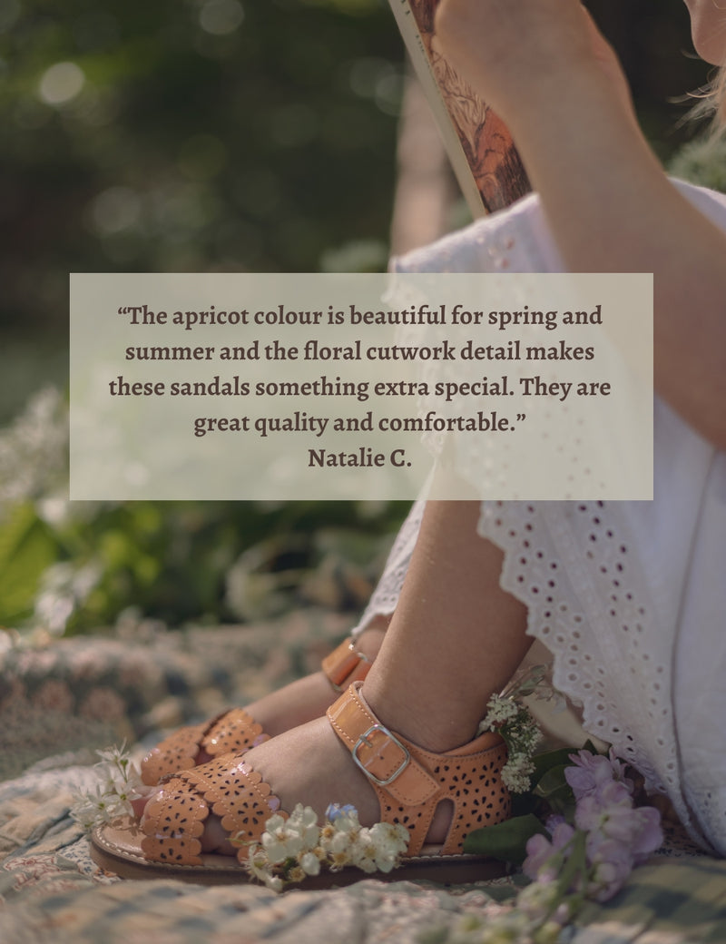 Petit Nord Crossover Scallop Flower Sandals Apricot 086