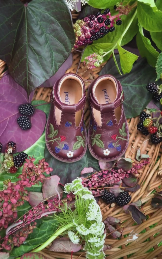 Petit Nord Blackberries T-Bar Scallop T-bars and Ballerinas Plum 075